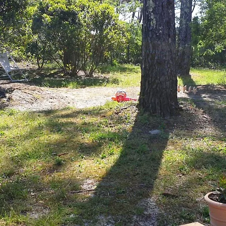 Les Ecureuils * Lacanau