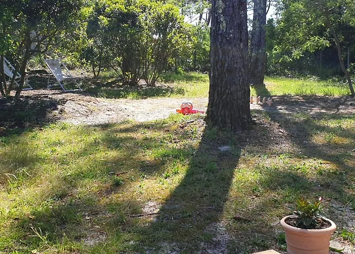 Les Ecureuils * Lacanau